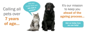 Senior Pet Web Banner