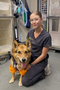 Rhiannon Wiles Daisy Hill Vet