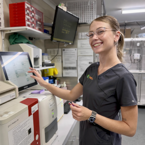 blood testing daisy hill