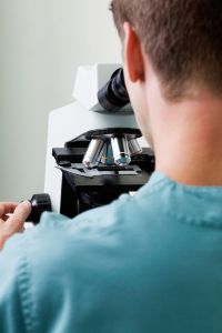 daisy hill vet microscope