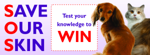 Test Your Knowledge Web Banner