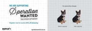 operation wanted dog slide 11