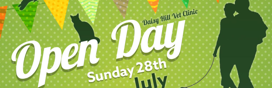 Daisy Hill Open Day