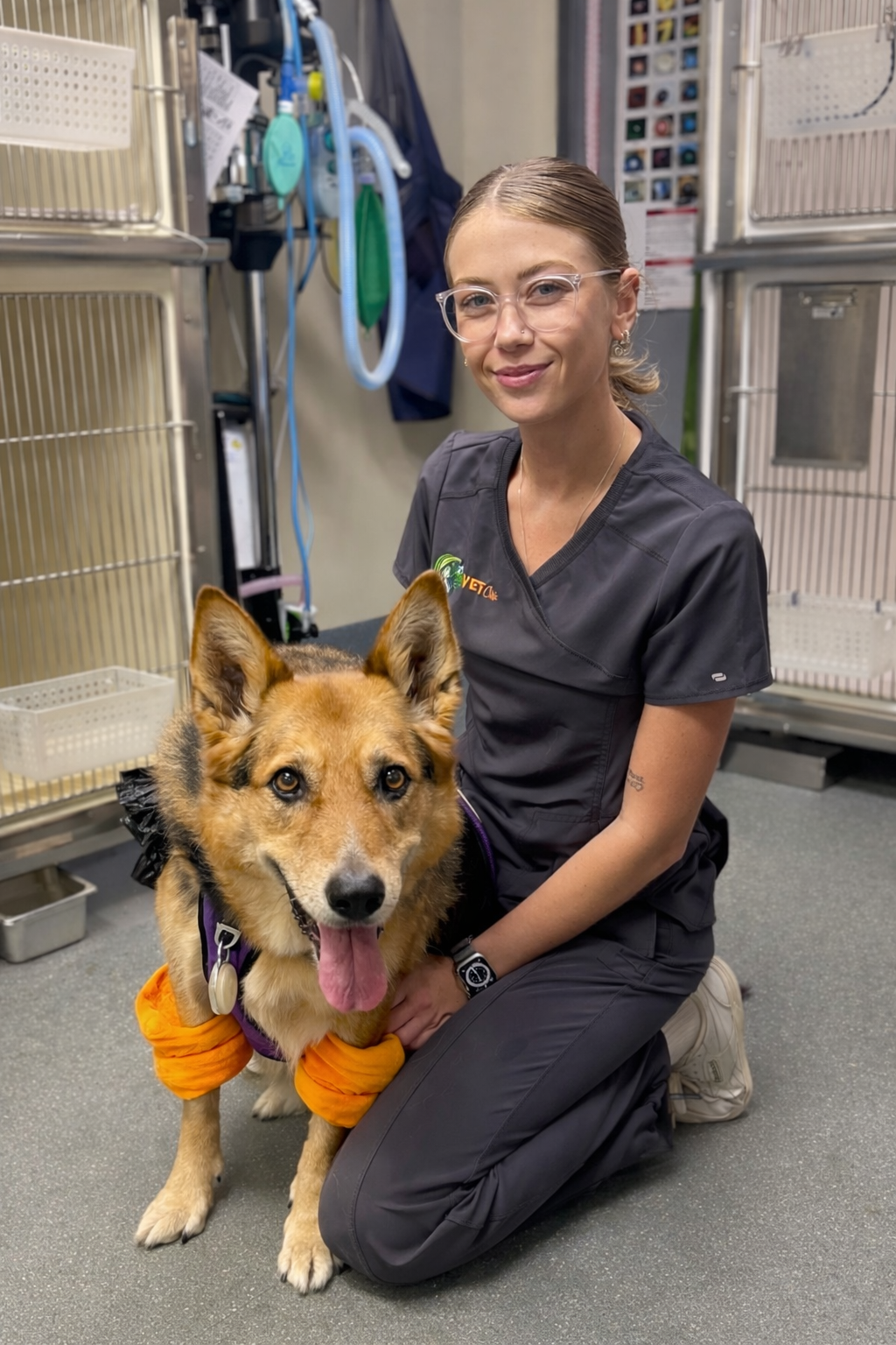 Rhiannon Wiles Daisy Hill Vet