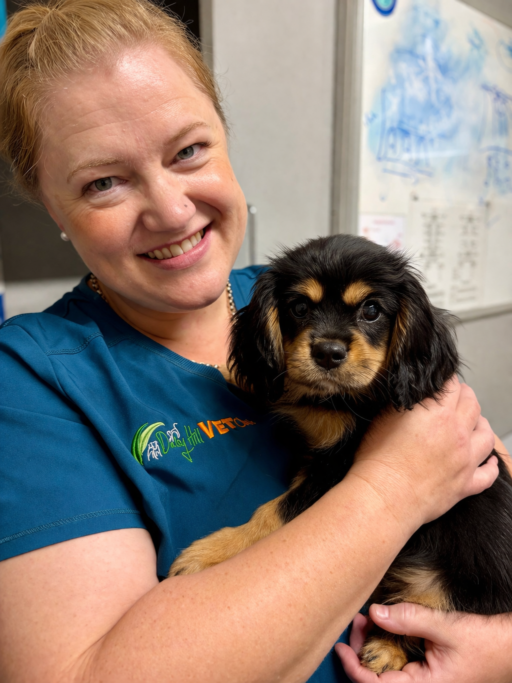 Dr Erin Seymour Daisy Hill Vet